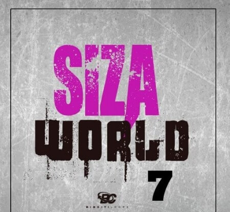 Big Citi Loops Siza World 7 WAV